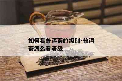 如何看普洱茶的级别-普洱茶怎么看等级