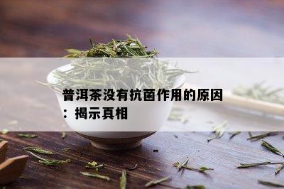 普洱茶没有抗菌作用的原因：揭示真相