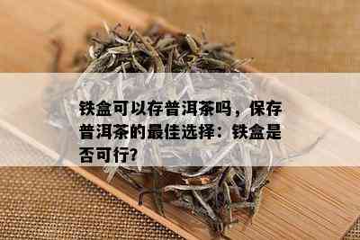 铁盒可以存普洱茶吗，保存普洱茶的更佳选择：铁盒是否可行？