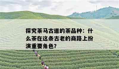 探究茶马古道的茶品种：什么茶在这条古老的商路上扮演重要角色？