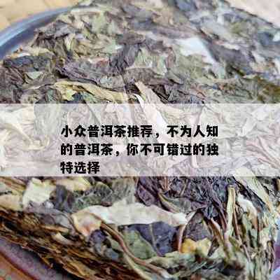 小众普洱茶推荐，不为人知的普洱茶，你不可错过的独特选择