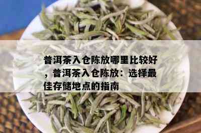 普洱茶入仓陈放哪里比较好，普洱茶入仓陈放：选择更佳存储地点的指南