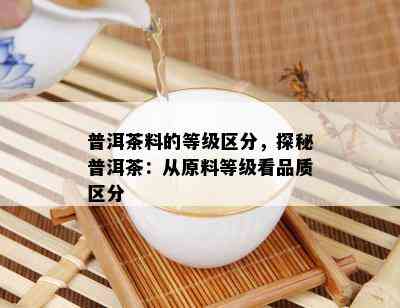 普洱茶料的等级区分，探秘普洱茶：从原料等级看品质区分