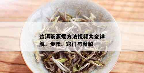 普洱茶蒸煮方法视频大全详解：步骤、窍门与图解