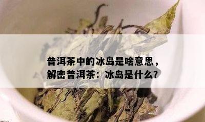 普洱茶中的冰岛是啥意思，解密普洱茶：冰岛是什么？