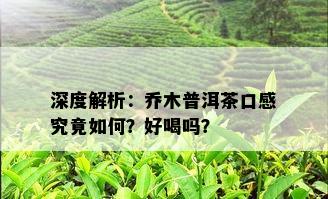 深度解析：乔木普洱茶口感究竟如何？好喝吗？