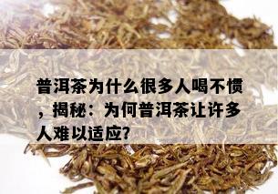 普洱茶为什么很多人喝不惯，揭秘：为何普洱茶让许多人难以适应？