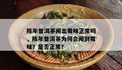 陈年普洱茶闻出霉味正常吗，陈年普洱茶为何会闻到霉味？是否正常？