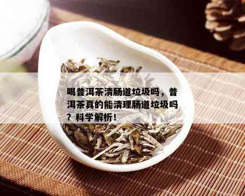 喝普洱茶清肠道垃圾吗，普洱茶真的能清理肠道垃圾吗？科学解析！