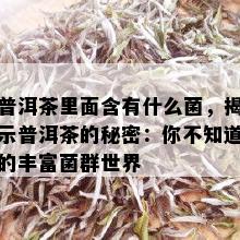 普洱茶里面含有什么菌，揭示普洱茶的秘密：你不知道的丰富菌群世界