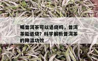 喝普洱茶可以退烧吗，普洱茶能退烧？科学解析普洱茶的降温功效