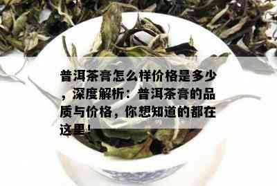 普洱茶膏怎么样价格是多少，深度解析：普洱茶膏的品质与价格，你想知道的都在这里！