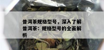 普洱茶规格型号，深入了解普洱茶：规格型号的全面解析