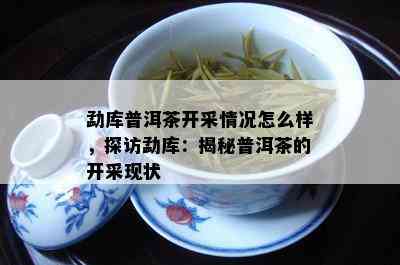 勐库普洱茶开采情况怎么样，探访勐库：揭秘普洱茶的开采现状