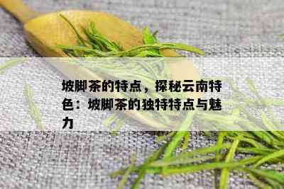 坡脚茶的特点，探秘云南特色：坡脚茶的独特特点与魅力