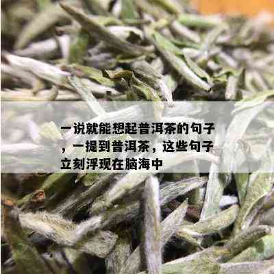 一说就能想起普洱茶的句子，一提到普洱茶，这些句子立刻浮现在脑海中