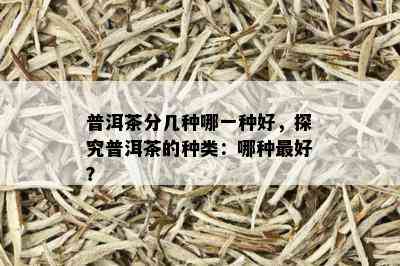 普洱茶分几种哪一种好，探究普洱茶的种类：哪种更好？