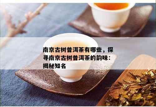 南京古树普洱茶有哪些，探寻南京古树普洱茶的韵味：揭秘知名