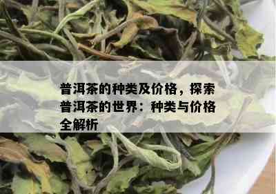 普洱茶的种类及价格，探索普洱茶的世界：种类与价格全解析