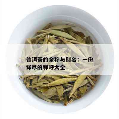 普洱茶的全称与别名：一份详尽的称呼大全