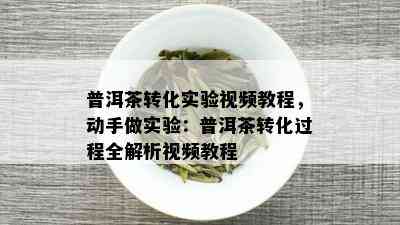 普洱茶转化实验视频教程，动手做实验：普洱茶转化过程全解析视频教程