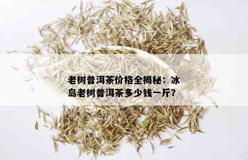 老树普洱茶价格全揭秘：冰岛老树普洱茶多少钱一斤？