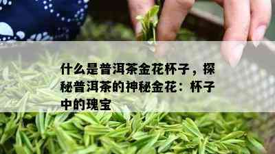 什么是普洱茶金花杯子，探秘普洱茶的神秘金花：杯子中的瑰宝