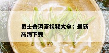 勇士普洱茶视频大全：最新高清下载