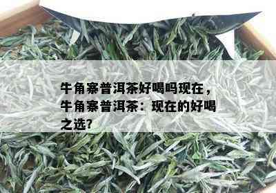 牛角寨普洱茶好喝吗现在，牛角寨普洱茶：现在的好喝之选？