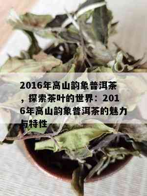 2016年高山韵象普洱茶，探索茶叶的世界：2016年高山韵象普洱茶的魅力与特性