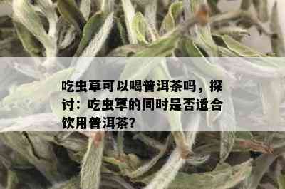 吃虫草可以喝普洱茶吗，探讨：吃虫草的同时是否适合饮用普洱茶？