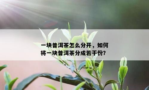 一块普洱茶怎么分开，如何将一块普洱茶分成若干份？