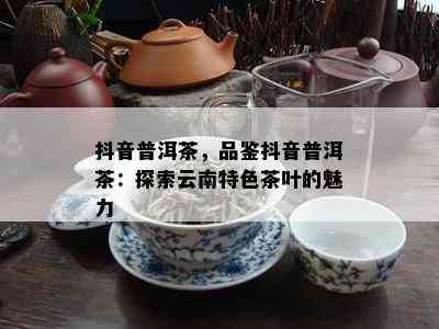 抖音普洱茶，品鉴抖音普洱茶：探索云南特色茶叶的魅力