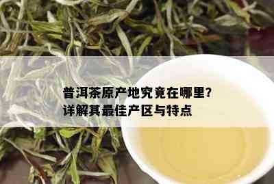 普洱茶原产地究竟在哪里？详解其更佳产区与特点