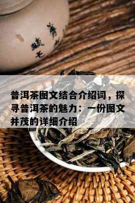 普洱茶图文结合介绍词，探寻普洱茶的魅力：一份图文并茂的详细介绍