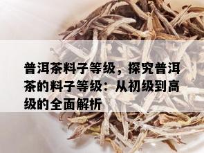 普洱茶料子等级，探究普洱茶的料子等级：从初级到高级的全面解析