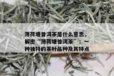 薄荷塘普洱茶是什么意思，解密“薄荷塘普洱茶”：一种独特的茶叶品种及其特点