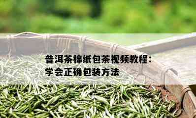 普洱茶棉纸包茶视频教程：学会正确包装方法