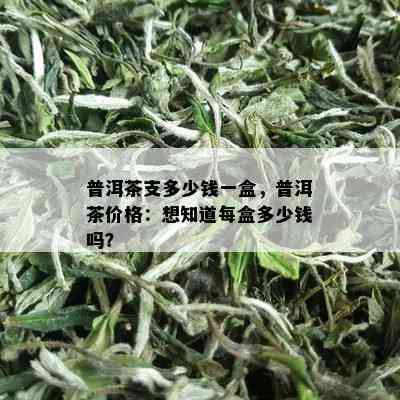 普洱茶支多少钱一盒，普洱茶价格：想知道每盒多少钱吗？