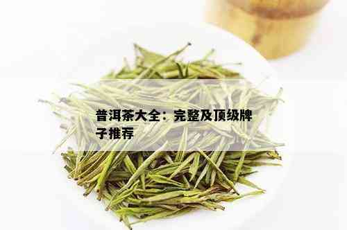 普洱茶大全：完整及顶级牌子推荐