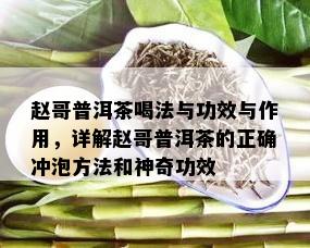 赵哥普洱茶喝法与功效与作用，详解赵哥普洱茶的正确冲泡方法和神奇功效