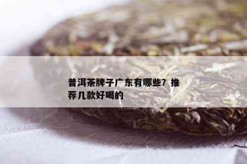 普洱茶牌子广东有哪些？推荐几款好喝的