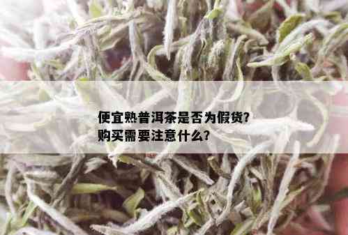 便宜熟普洱茶是否为假货？购买需要注意什么？