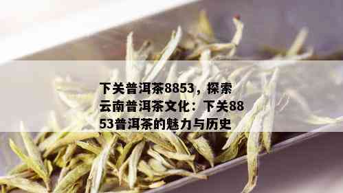 下关普洱茶8853，探索云南普洱茶文化：下关8853普洱茶的魅力与历史