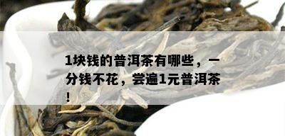 1块钱的普洱茶有哪些，一分钱不花，尝遍1元普洱茶！