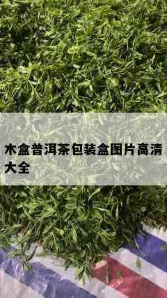 木盒普洱茶包装盒图片高清大全