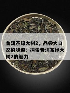 普洱茶绿大树2，品尝大自然的味道：探索普洱茶绿大树2的魅力