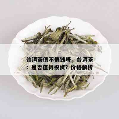 普洱茶值不值钱呀，普洱茶：是否值得投资？价格解析