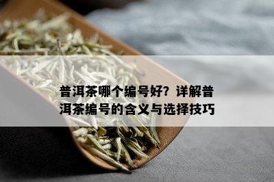 普洱茶哪个编号好？详解普洱茶编号的含义与选择技巧