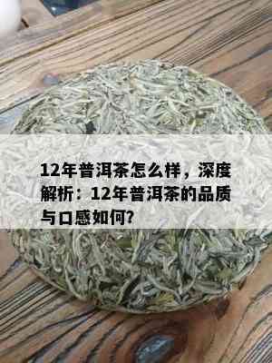 12年普洱茶怎么样，深度解析：12年普洱茶的品质与口感如何？